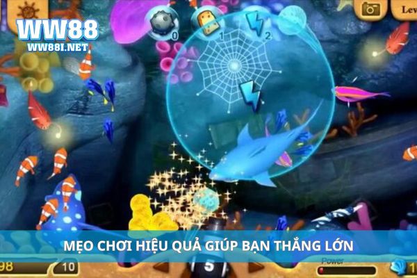 Mẹo chơi hiệu quả giúp bạn thắng lớn